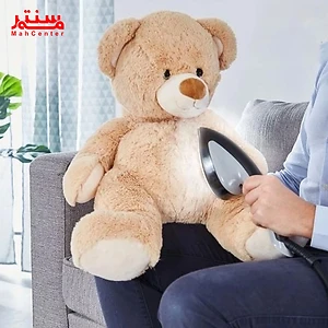 در حال اتو کشیدن عروسک خرس با دستگاه اتو بخارگر تفال QT1510